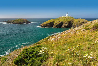 Featured Pembrokeshire Coast National Park Trust x Corgi image